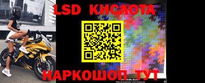 стафф Донской