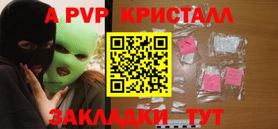 стафф Донской
