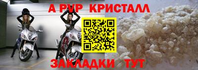 стафф Донской